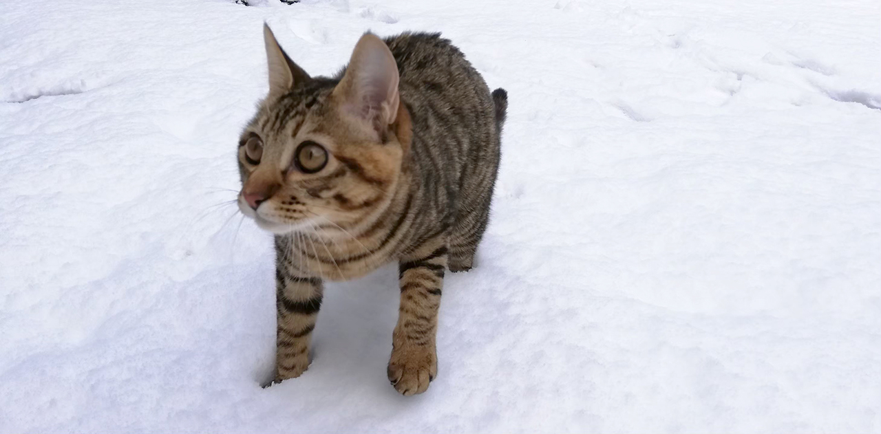 御津花はじめての雪体験